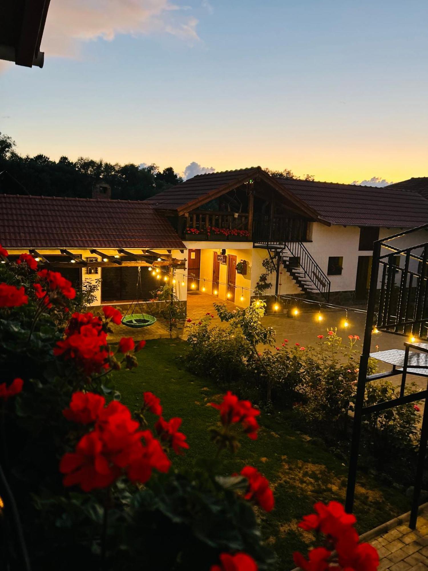 Hotel Casa "La Moara Din Gradina" à Eftimie Murgu Extérieur photo