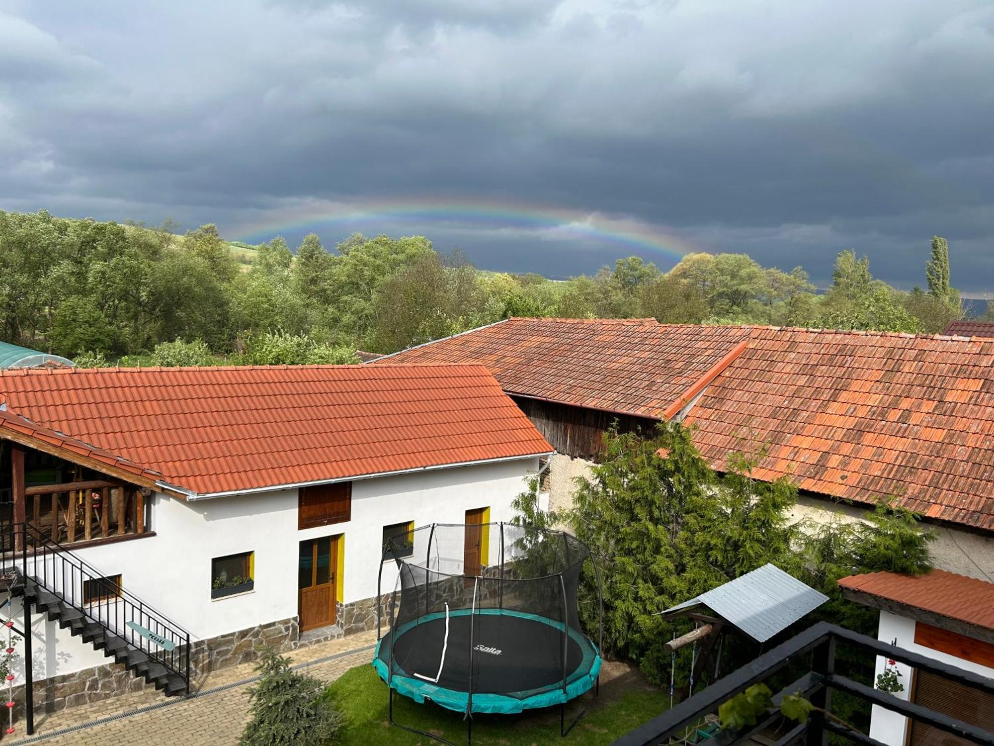 Hotel Casa "La Moara Din Gradina" à Eftimie Murgu Extérieur photo