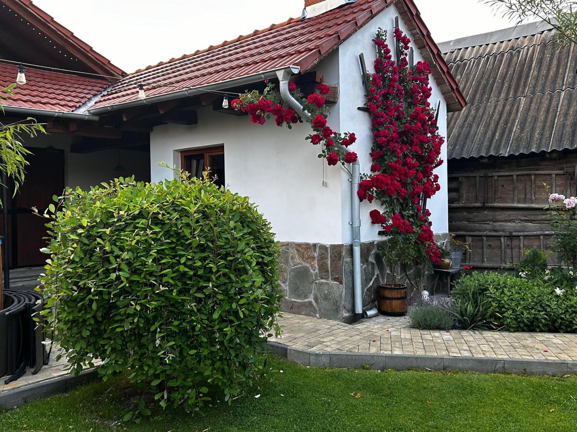 Hotel Casa "La Moara Din Gradina" à Eftimie Murgu Extérieur photo