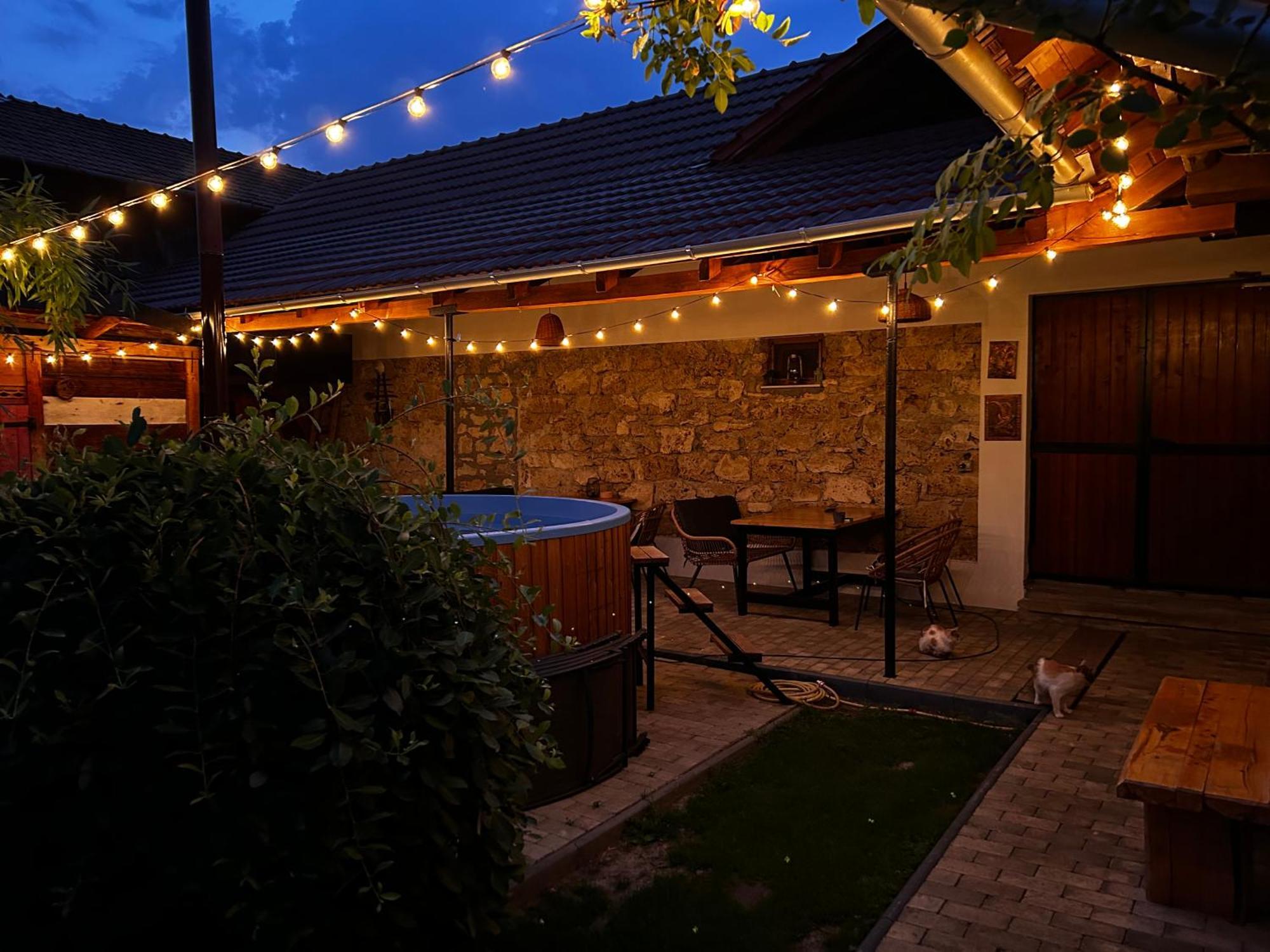 Hotel Casa "La Moara Din Gradina" à Eftimie Murgu Extérieur photo