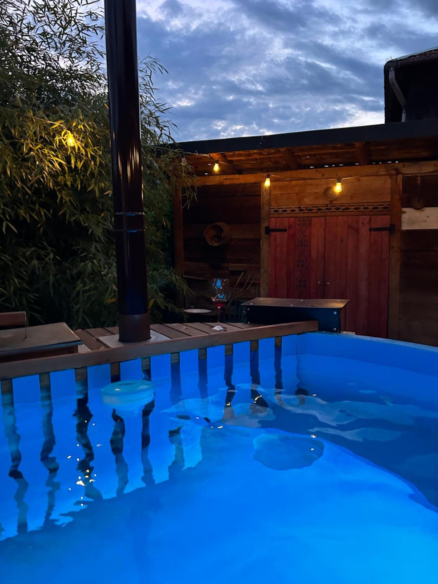 Hotel Casa "La Moara Din Gradina" à Eftimie Murgu Extérieur photo
