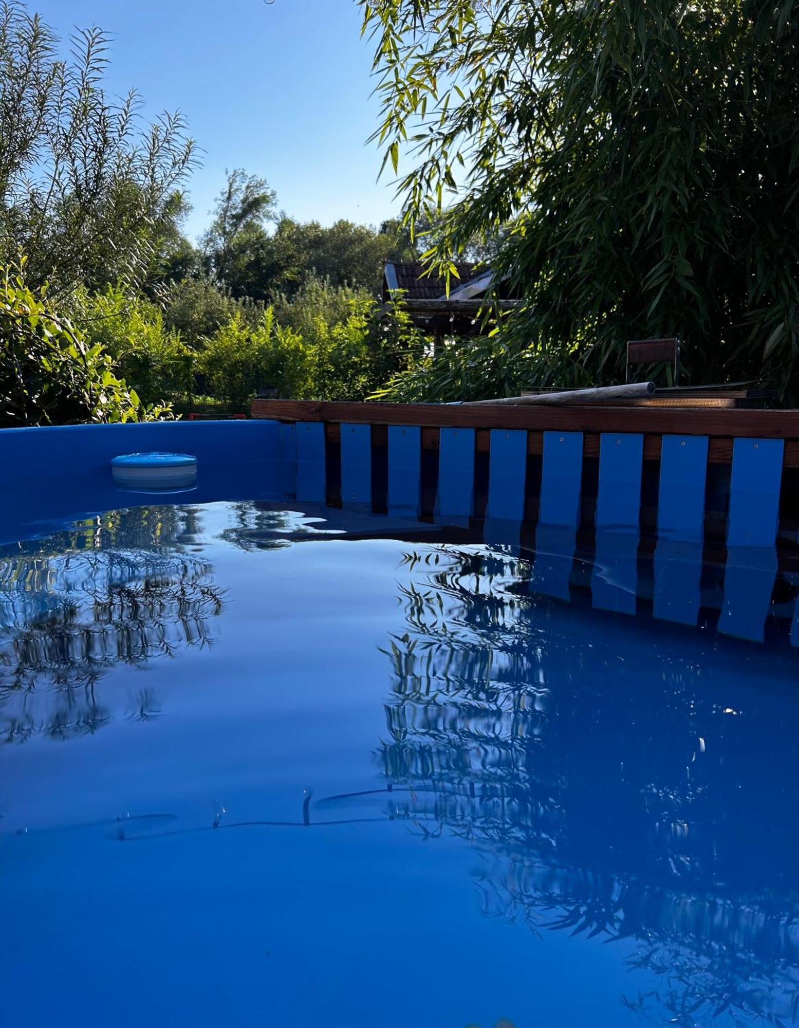 Hotel Casa "La Moara Din Gradina" à Eftimie Murgu Extérieur photo