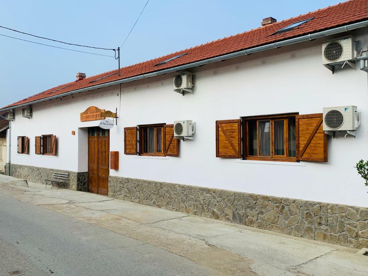 Hotel Casa "La Moara Din Gradina" à Eftimie Murgu Extérieur photo
